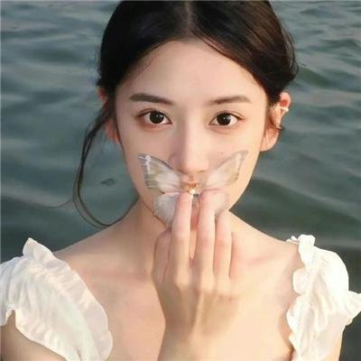 虚假的借口封面